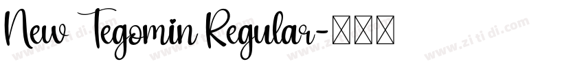 New Tegomin Regular字体转换